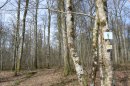Grand Bois de Rupt